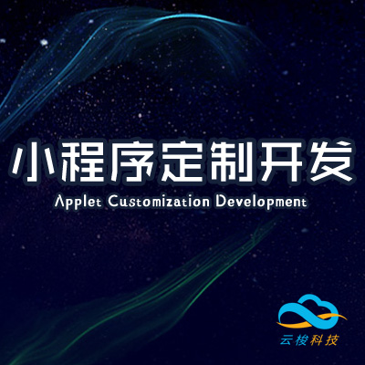 app定制开发