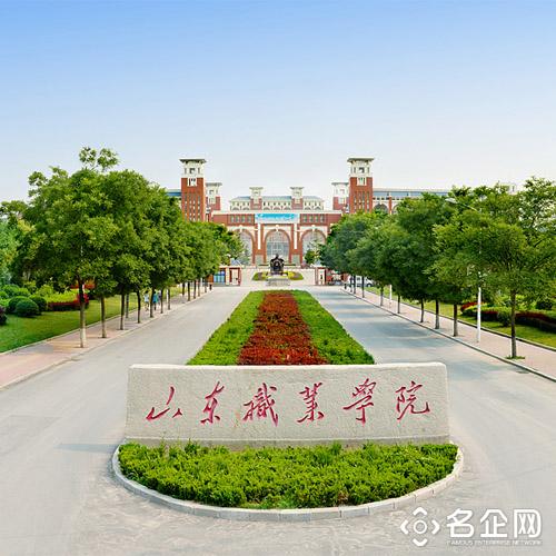 山东职业学院