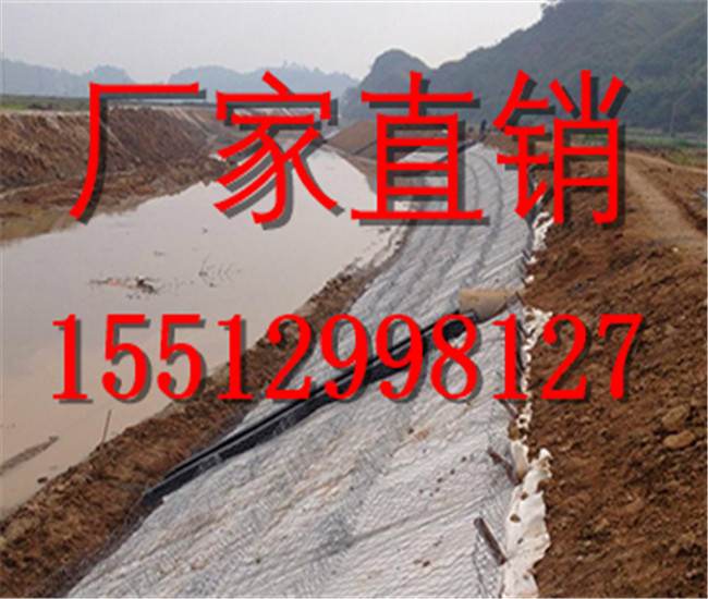 雷诺护垫厂家   资深雷诺护垫生产厂家