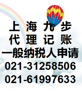 上海一般纳税人 十万元版申请