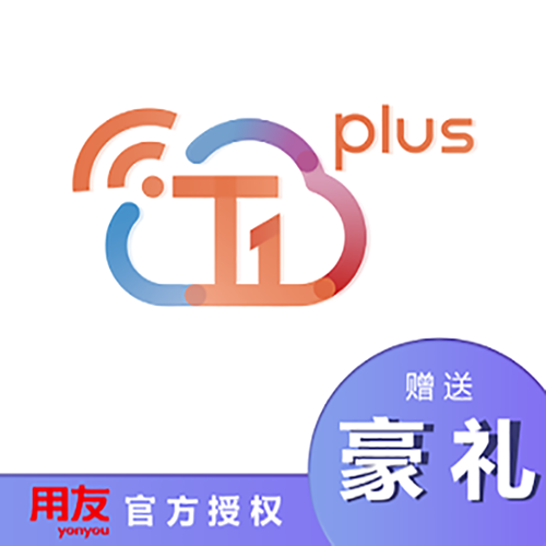 用友畅捷通T1plus批发零售普及版进销存软件 单机 加密狗版