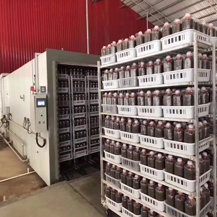 全自动高压灭菌器   方形灭菌器