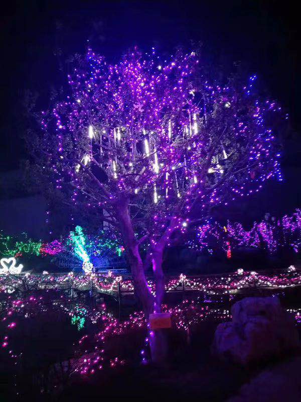 灯光节彩灯，定制造型灯