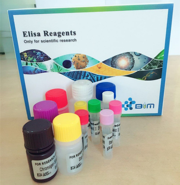 兔胶原酶I（Collagenase I）ELISA试剂盒