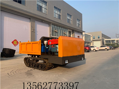 山东厂家直销小型履带运输车 农用四不像履带车