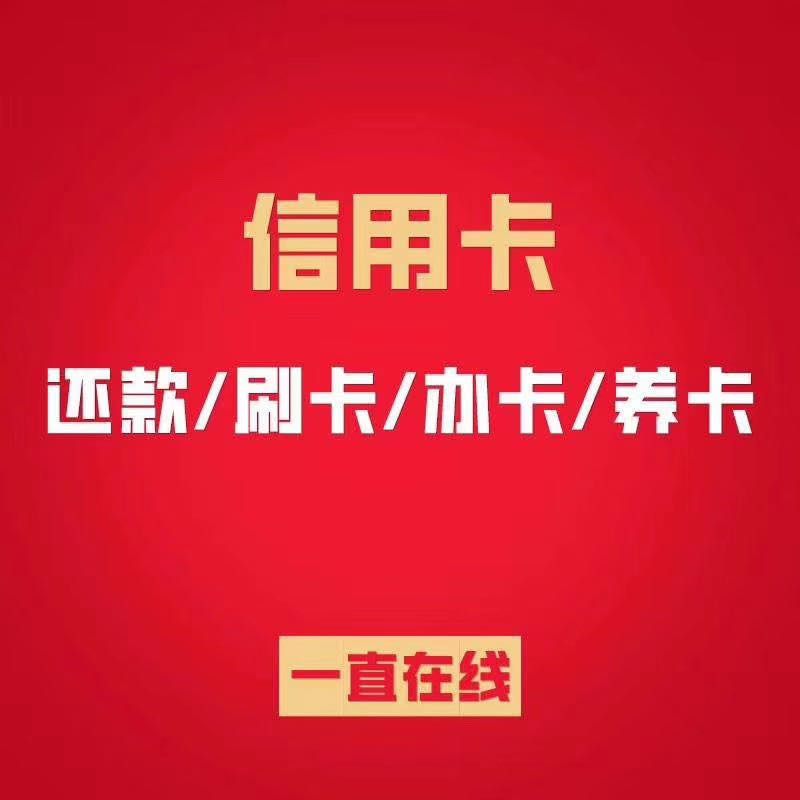上海专业的定制代还系统开发团队
