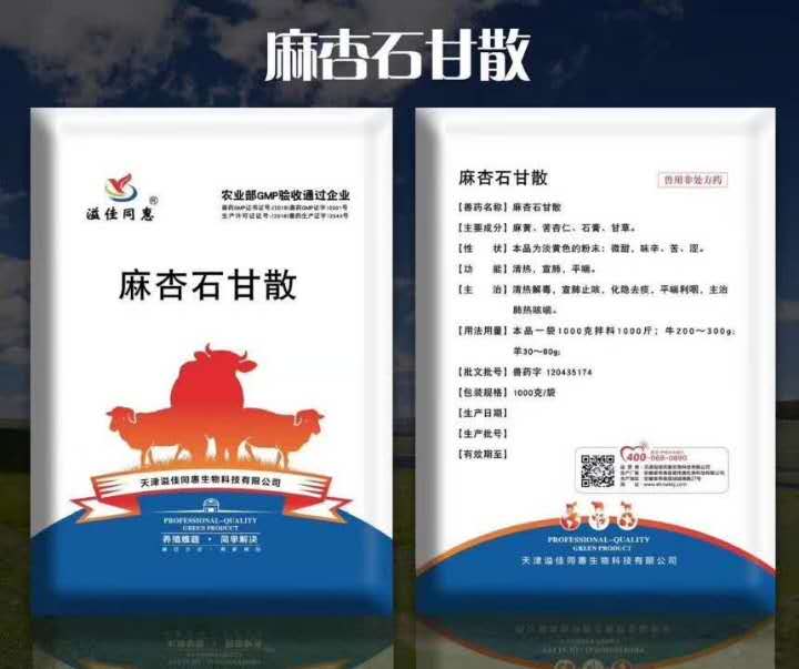夏季牛咳嗽有火就用麻杏石甘散