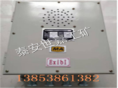 ZB127矿用广播装置厂家，本安型矿用广播装置图片