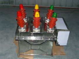 ZW8-12GF/630-20柱上分界真空断路器