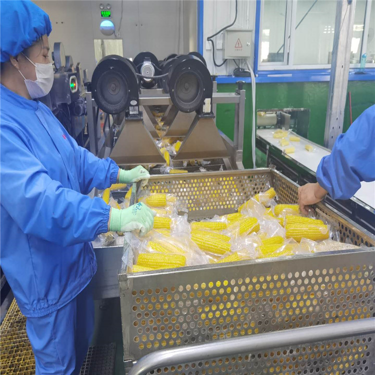 玉米高温杀菌锅   鲜玉米高温杀菌锅