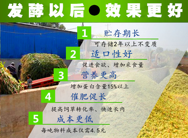 发酵剂的作用好处种类