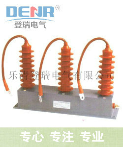 TBP-B-42F/310组合式过电压保护器定购,TBP-B-42F/310