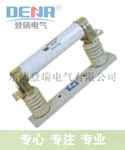 “登瑞”牌熔断器型号有哪些 XRNP-10/0.5A熔断器厂家