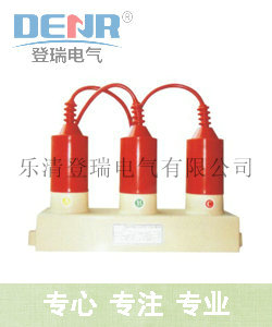 老牌子tbp组合式过电压保护器生产厂家  登瑞牌