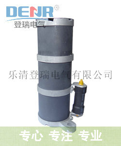 登瑞源头厂家一次消谐器安装RXQ-35D,RXQ-20D 高品质