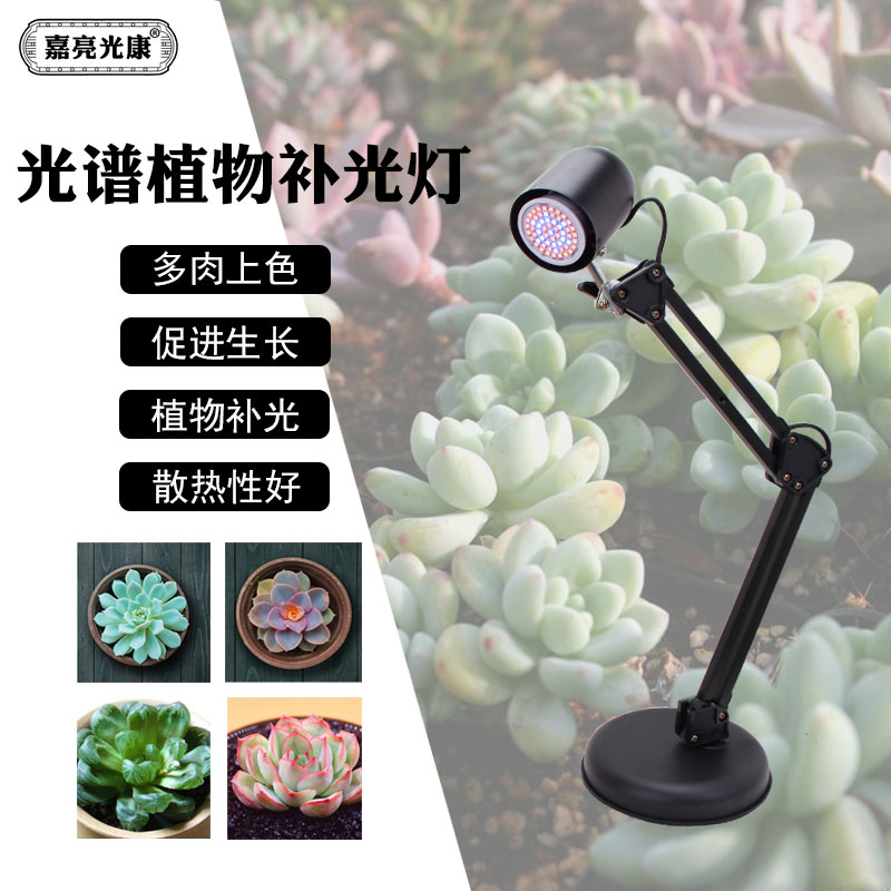 多肉全光谱植物生长灯园艺花店补光灯防太阳光室内防徒长