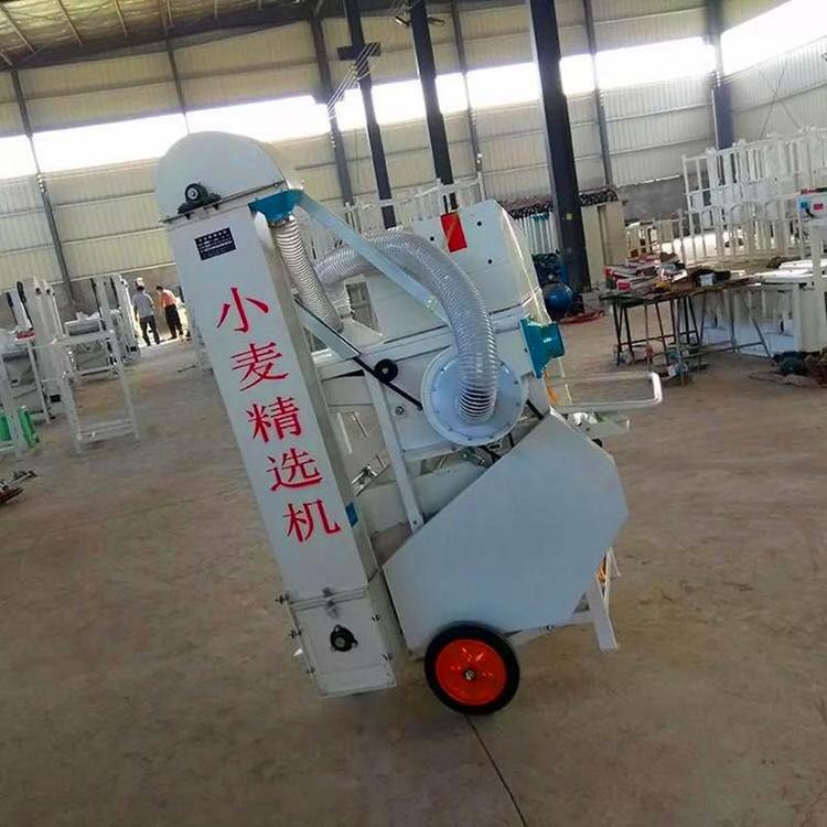 小麦种子精选机 农作物选种机 全自动种子精选机