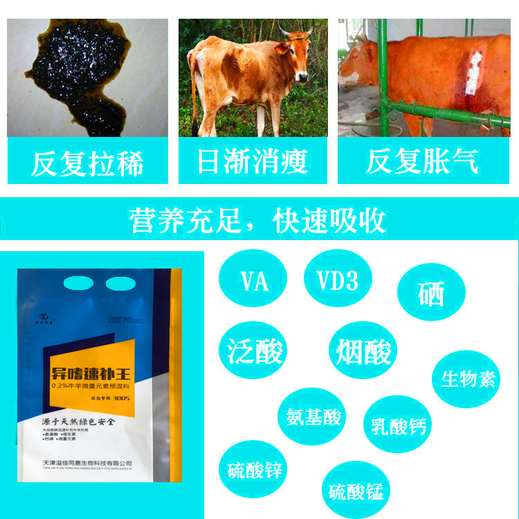 牛异食癖吃土咬毛原因