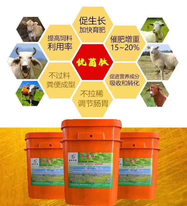 牛过料拉稀的原因
