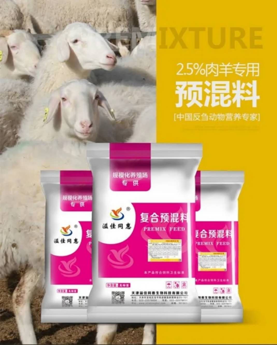 肉羊预混料饲料配方