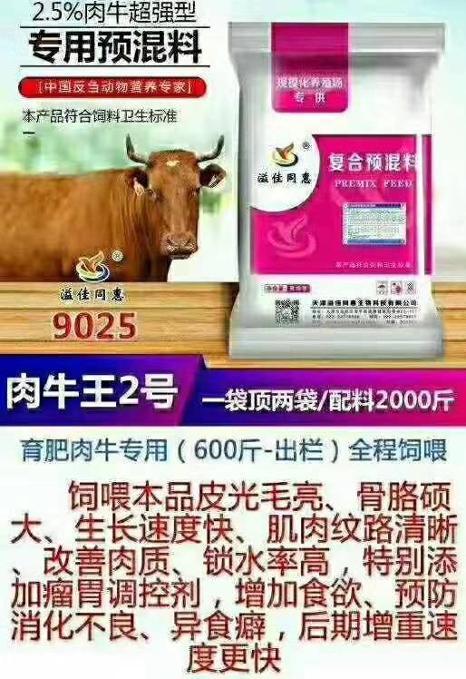 育肥牛预混料饲料溢佳同惠