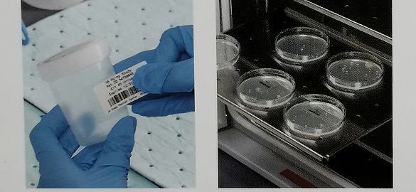 贝迪洁净室低溢气标签