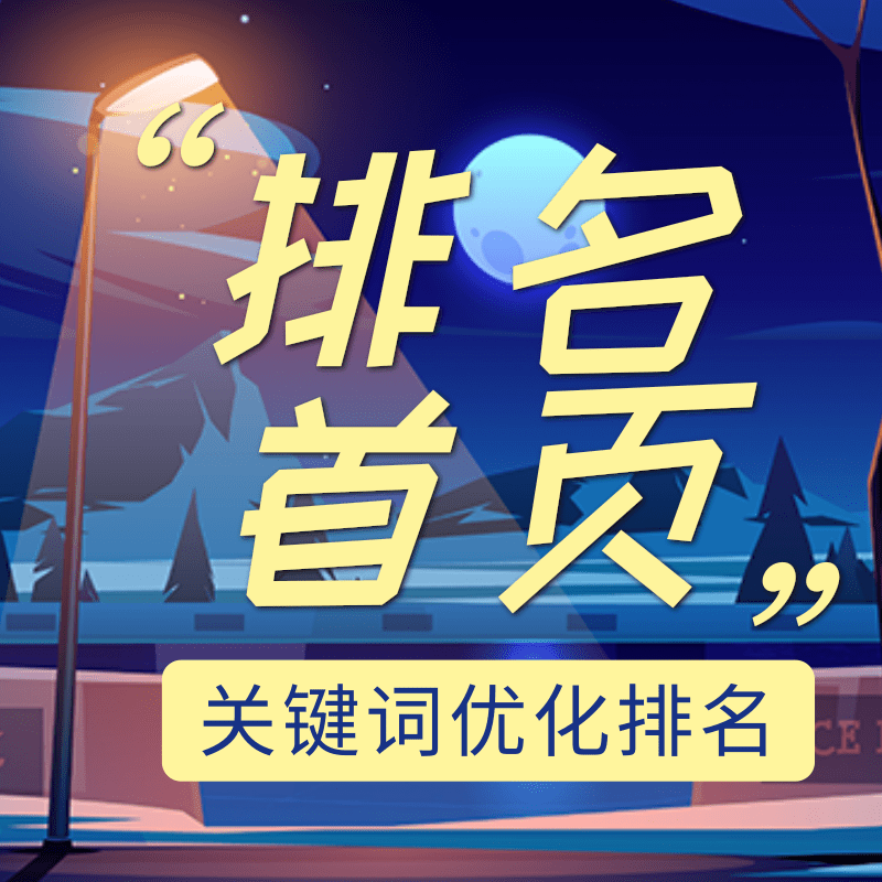 搜索引擎排名 关键词排名 按天收费