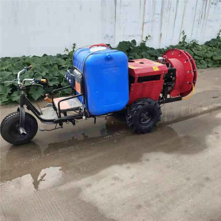 葡萄园除虫打药机 柴油动力风送式打药机 果园乘坐式喷药设备