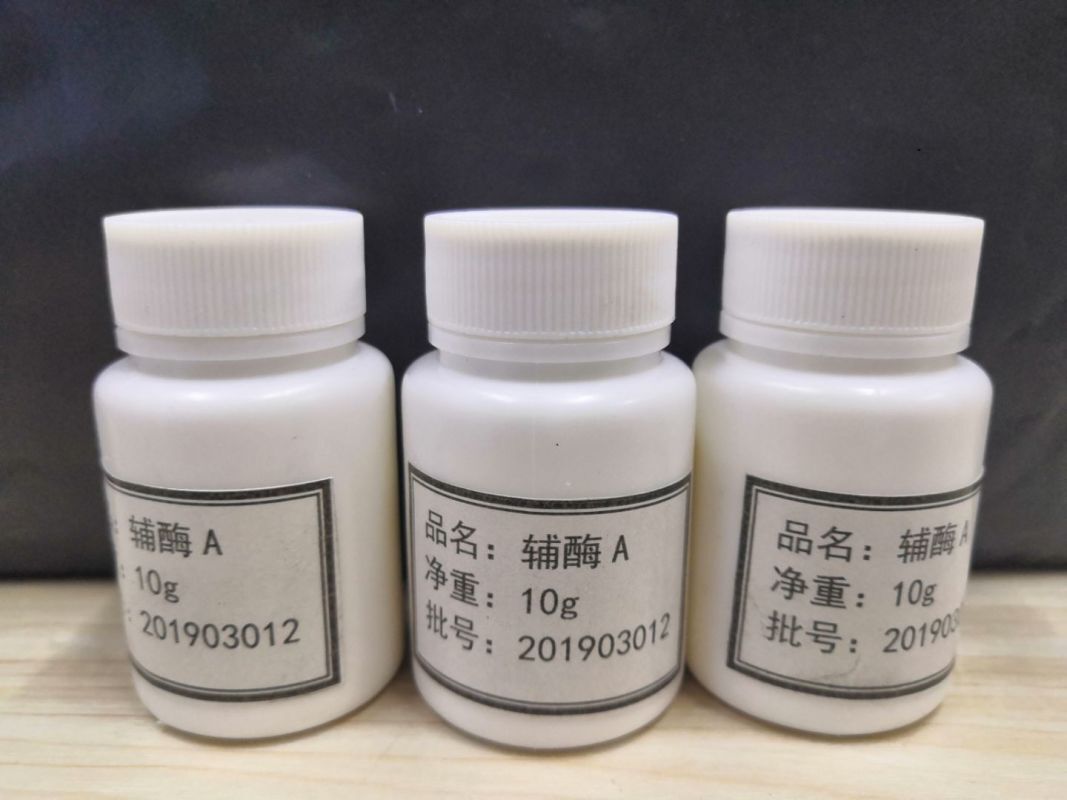 厂家生产辅酶A缓冲剂包装，含量
