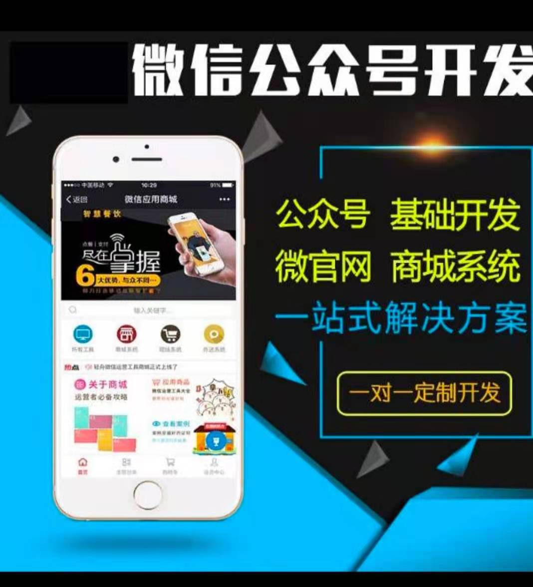 app分销商城网站搭建开发