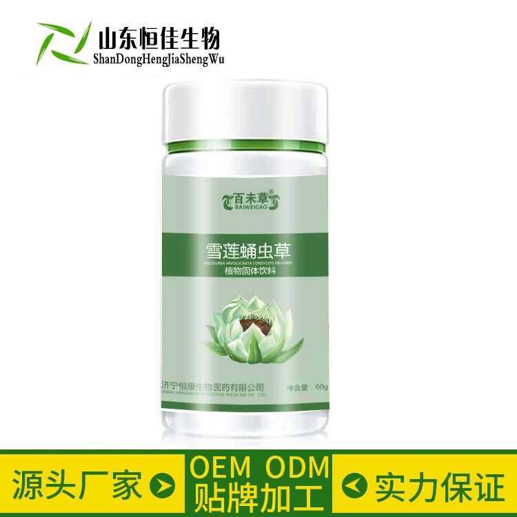 雪莲蛹虫草片剂OEM贴牌代加工济宁恒佳