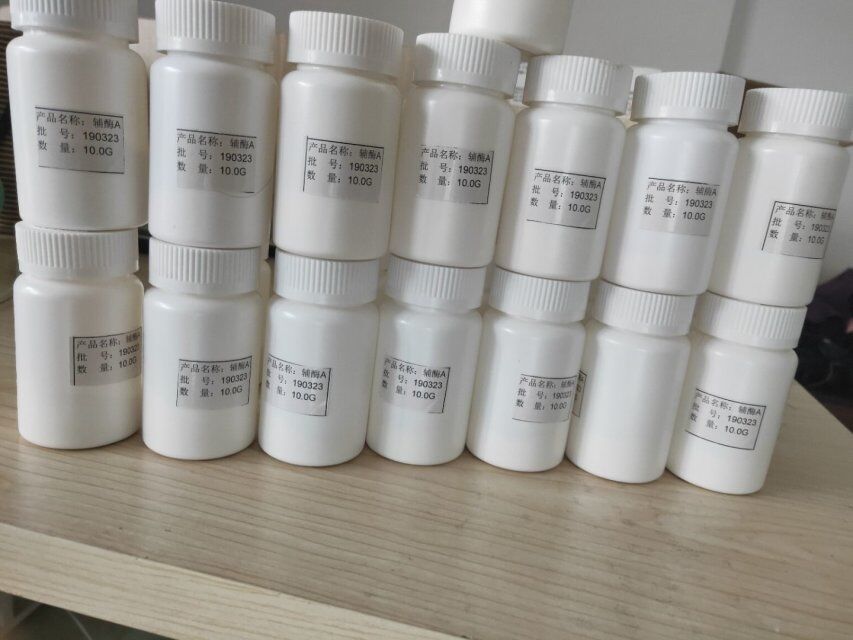 湖北新货供应辅酶A 85-61-0 白色粉末