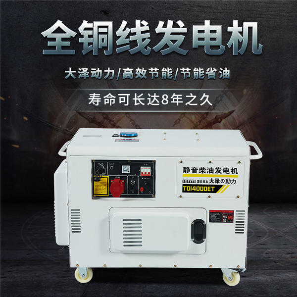 大泽动力10KW静音柴油发电机