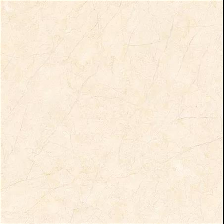 只发工地 防冻砖 大瓷匠陶瓷 帕杰斯特陶瓷 澳特尔瓷砖