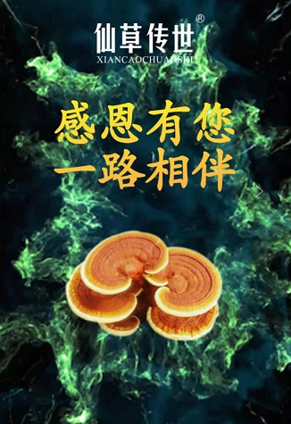 携手相约128岁-仙草传世灵芝姐姐