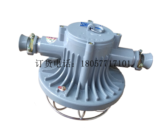 DGS20/127L(C)矿用隔爆型LED巷道灯