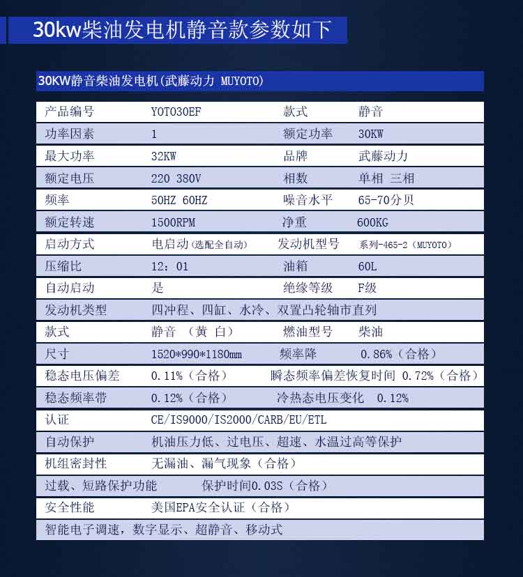 帕欧柴油发电机组