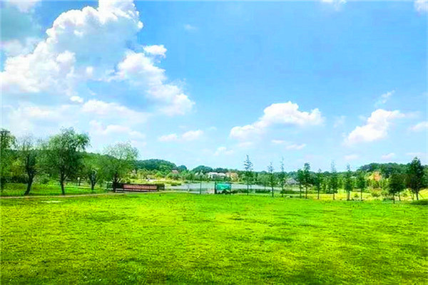 长沙周边游可以团建拓展又可以野炊烧烤的农家乐