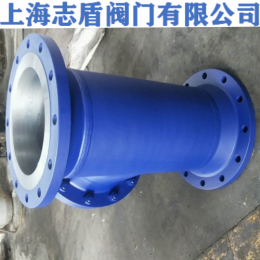 T型法兰过滤器（SRT1型、SRT2型）