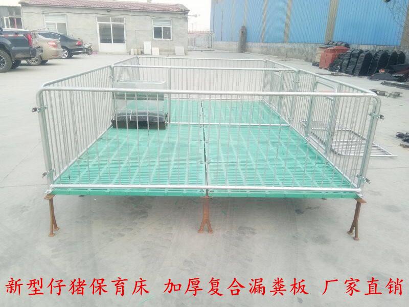 加厚仔猪保育床 猪用床现货直销