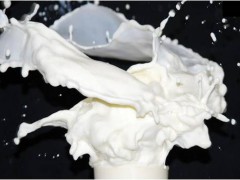 丙烯酸酯共聚乳液/聚丙烯酸酯乳液