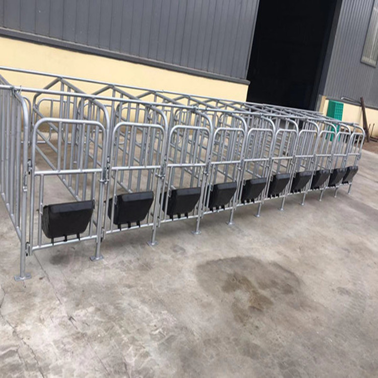母猪定为栏 限位架现货直销
