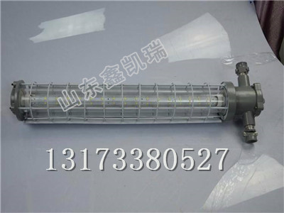DGS48/127L矿用隔爆巷道灯，LED巷道灯厂家