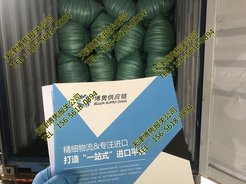 浙江鸭毛报关代理公司