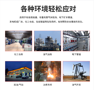 圣凯安防爆防腐可燃EX报警器