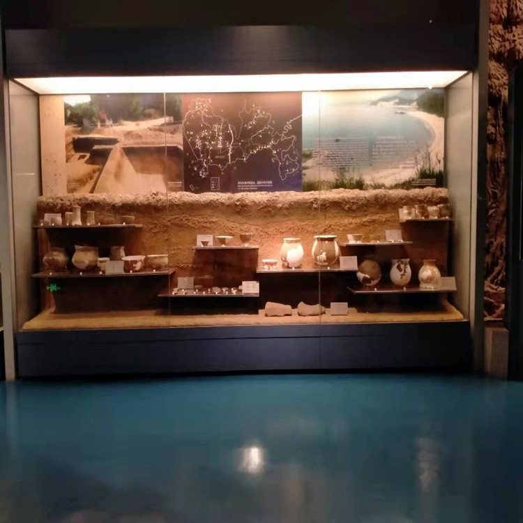 博物馆通柜-独立柜-平柜-博物馆展柜制作源头厂家 惠州隆城展示