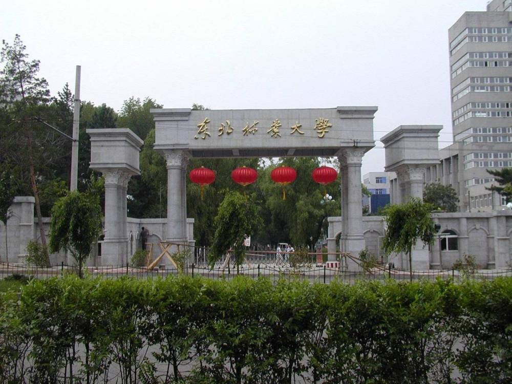 东北林业大学助学加分自考统考科目少可免考签约报考