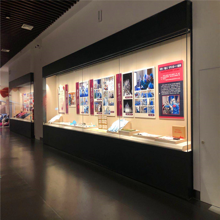 博物馆展柜恒温恒湿冷轧钢板玻璃靠墙柜背柜-隆城博具
