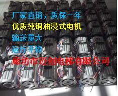 厂家供应家用电梯3KW油浸式电机