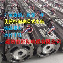 厂家供应家用电梯5.5KW油浸式电机